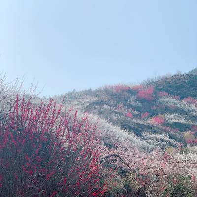 Photo review number 5303 from Thi Dung K