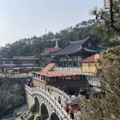 Photo review number 11026 from Marie M