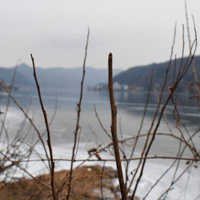 Photo review number 7253 from Elise S