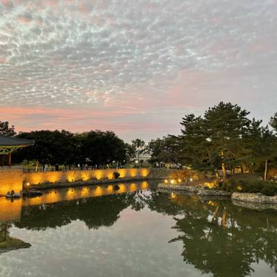 Photo review number 8672 from Sze Yee C