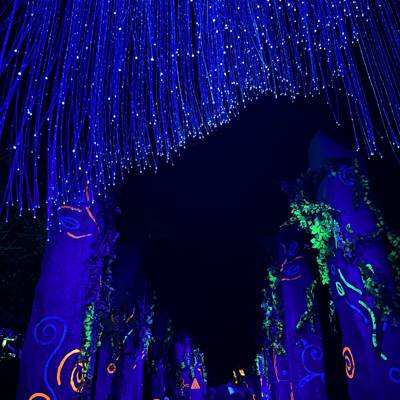 Photo review number 13084 from Arrielle T