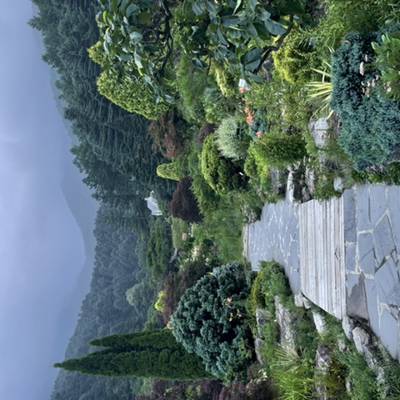 Photo review number 8028 from Martijn T