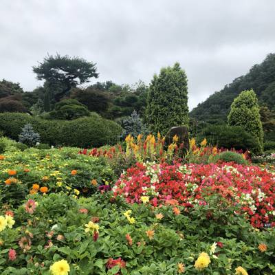 Photo review number 4977 from Swarupa S