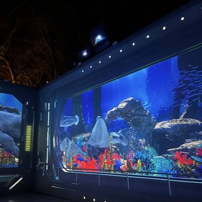 Photo review number 13166 from Vania R