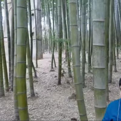 Photo review number 5978 from Yvonne Q