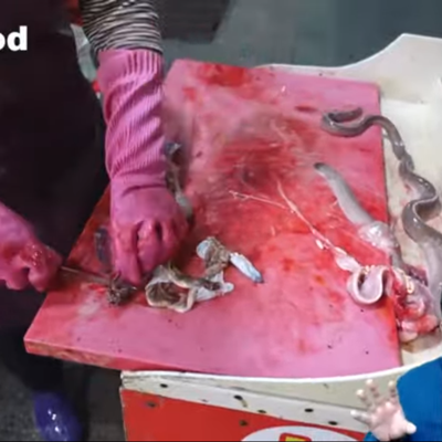 Photo review number 5981 from Yvonne Q