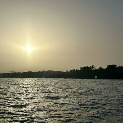 Photo review number 14245 from Louise D