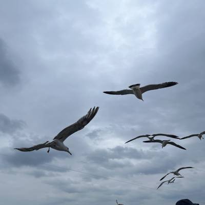 Photo review number 14740 from Jonathan L