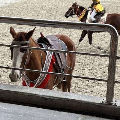 Photo review number 9894 from May Lee C