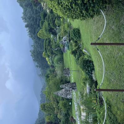 Photo review number 8029 from Martijn T