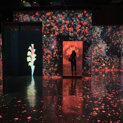 Photo review number 6443 from Stephanie S