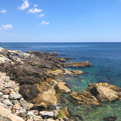 Photo review number 5499 from Abbey F