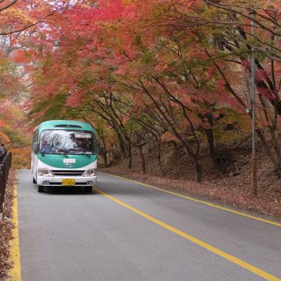 Photo review number 9221 from Ichsan M