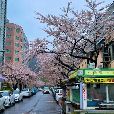 Photo review number 5366 from whit*********@*********