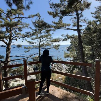 Photo review number 6859 from sanya a