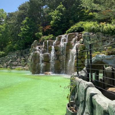 Photo review number 5509 from Mega*******@*********