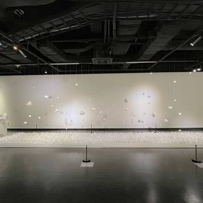 Photo review number 9307 from Ana Regina G