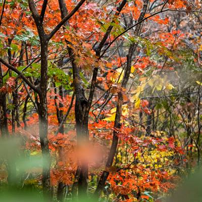 Photo review number 15530 from d_s_******@************