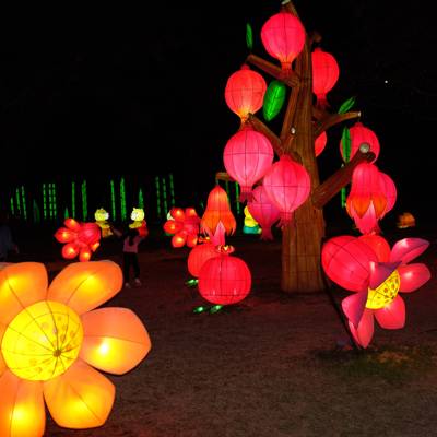 Photo review number 17793 from nurh***********@*********