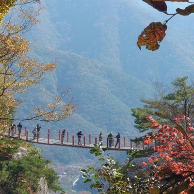 Photo review number 17873 from Ricarda L