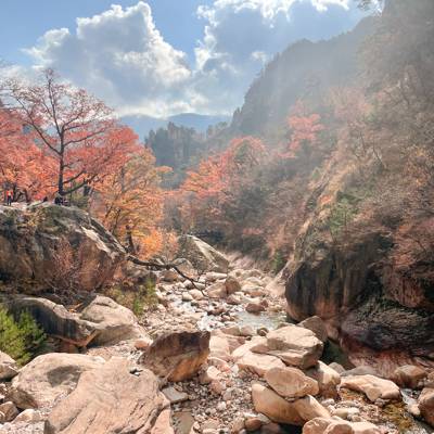 Photo review number 9074 from Ichsan M