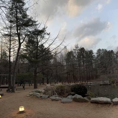Photo review number 13363 from Cheng Yee L