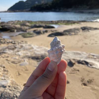 Photo review number 6861 from sanya a