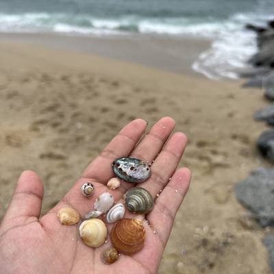 Photo review number 9425 from Amanda S