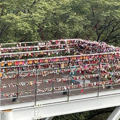 Photo review number 17817 from Lydia O