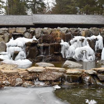Photo review number 7263 from Elise S