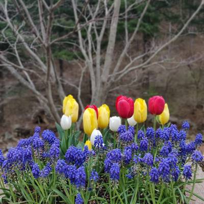 Photo review number 5382 from Tharun B