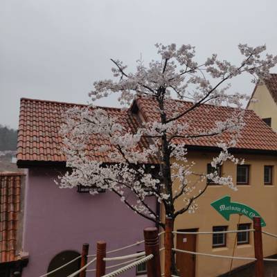 Photo review number 5375 from Tharun B
