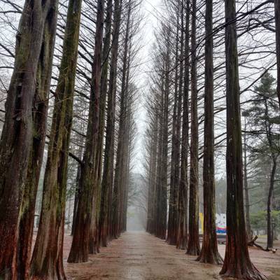 Photo review number 5380 from Tharun B