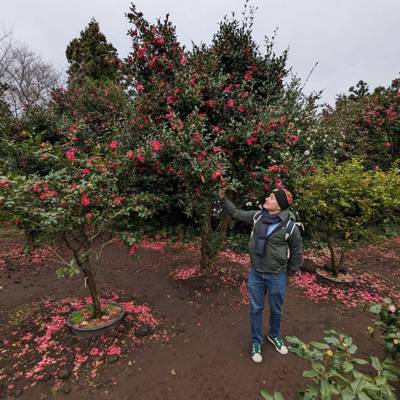 Photo review number 13467 from Andy L