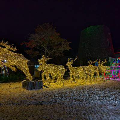 Photo review number 13465 from Andy L