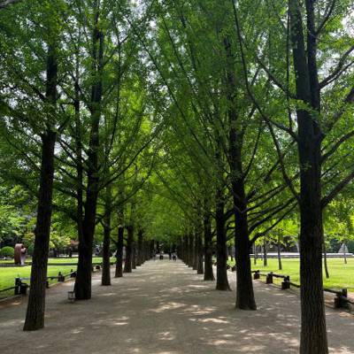 Photo review number 7777 from anna*******@*********