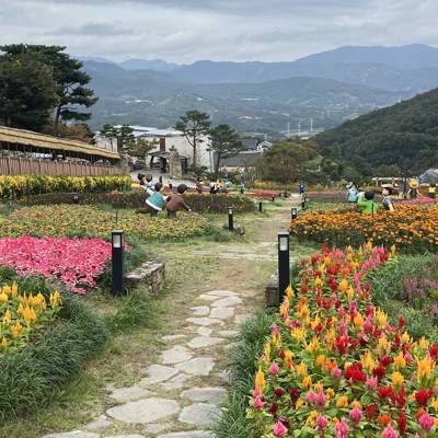 Photo review number 17785 from nurh***********@*********