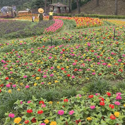 Photo review number 17786 from nurh***********@*********