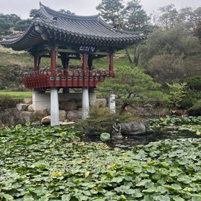 Photo review number 17788 from nurh***********@*********