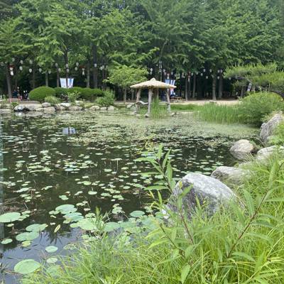 Photo review number 11437 from Maryam P