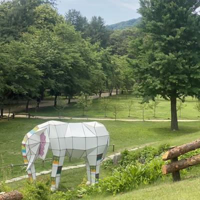 Photo review number 11438 from Maryam P