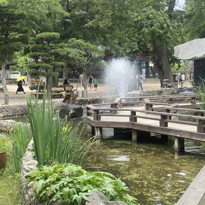 Photo review number 11440 from Maryam P