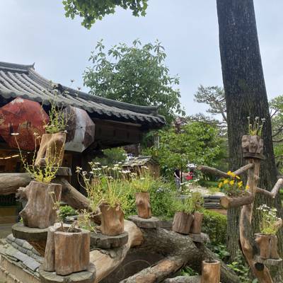 Photo review number 11441 from Maryam P