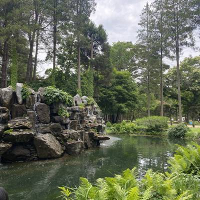 Photo review number 11444 from Maryam P