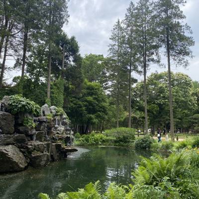 Photo review number 11442 from Maryam P