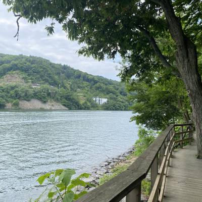 Photo review number 11443 from Maryam P