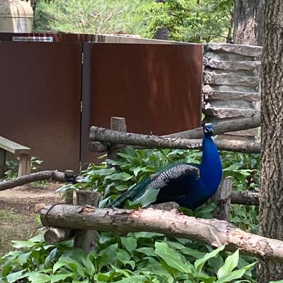 Photo review number 11445 from Maryam P