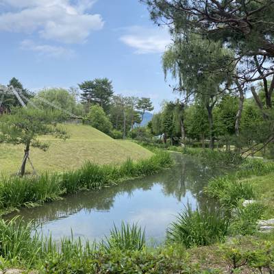 Photo review number 11446 from Maryam P