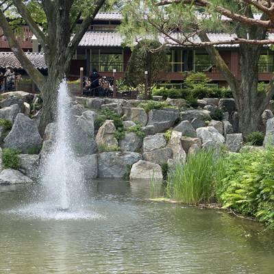 Photo review number 11447 from Maryam P