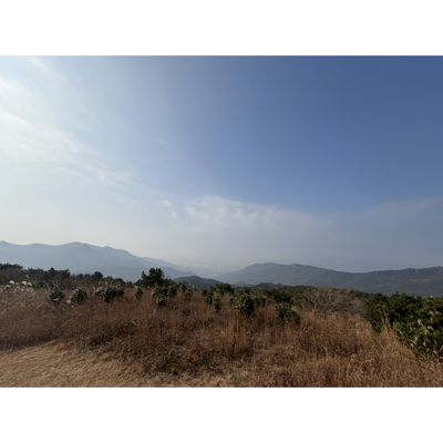 Photo review number 18114 from Dawn N